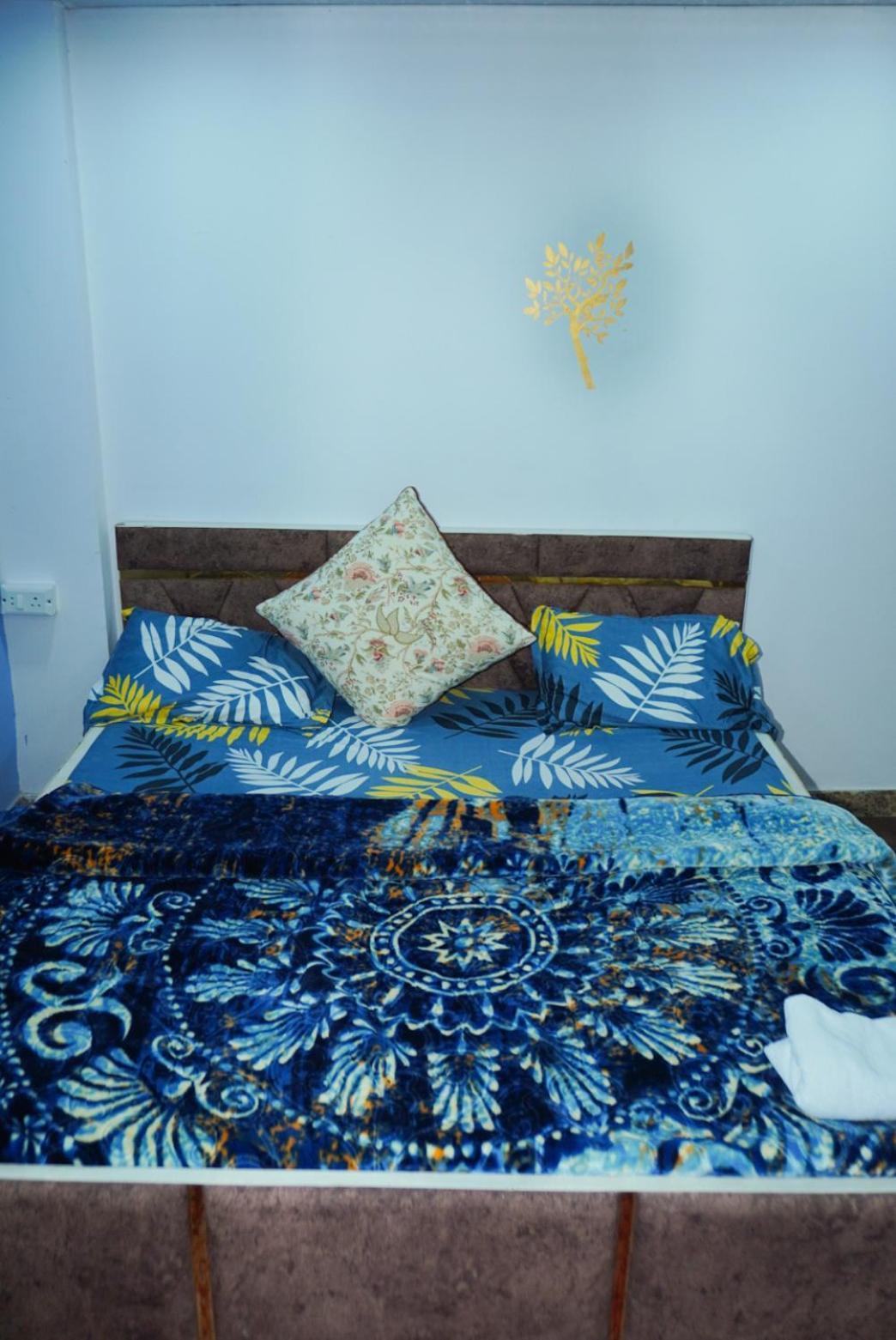 Flips With Mykonos Guest House New Delhi Extérieur photo